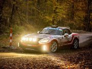 Rally Hungary amaro per Roberto Gobbin e il genovese Alessandro Cervi