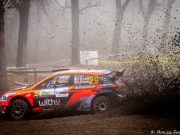 Scandola – D’Amore: che impresa all’ACI Rally Monza!