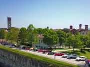 Terre di Canossa 2021: iniziato il count-down